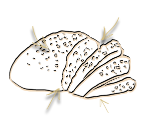 disegno pane e ingredienti